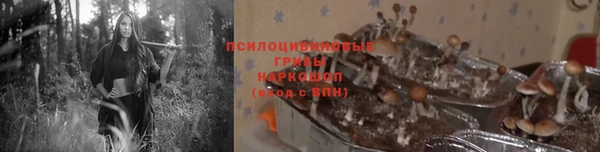 бошки Богданович